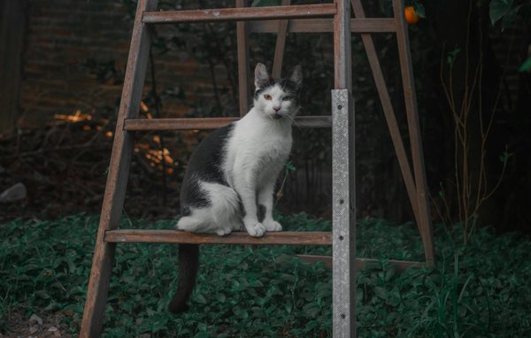 Comprendre l'assurance santé pour seniors